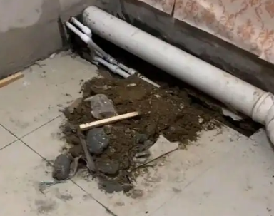 巴宜卫生间漏水检测哪家好