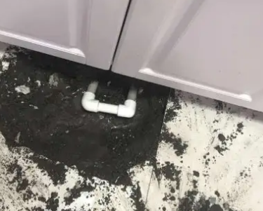 巴宜查漏水哪家好